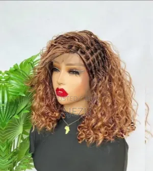 Braided Wig