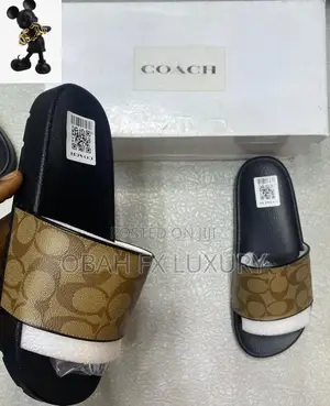 Coach Quality Slides | Now Available