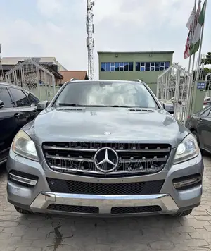 Mercedes-Benz M Class 2013 Blue
