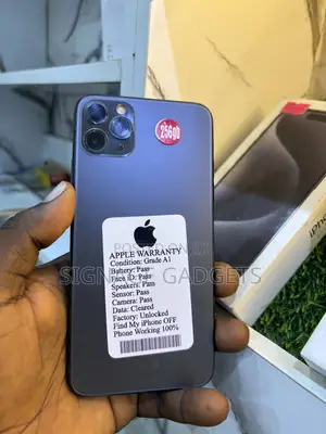 Apple iPhone 11 Pro Max 256 GB Gray
