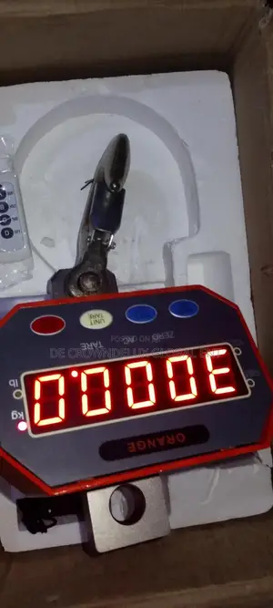 3t Crane Scale