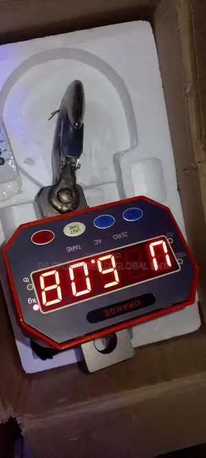 3t Crane Scale