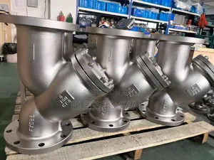 Y Steel Flange Strainers 8"