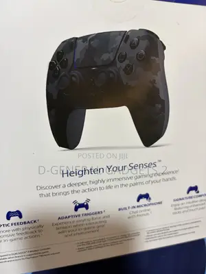 PS5 Controller