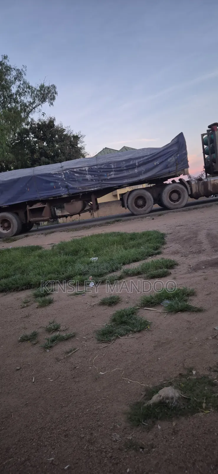 Dangote and Bua Cement