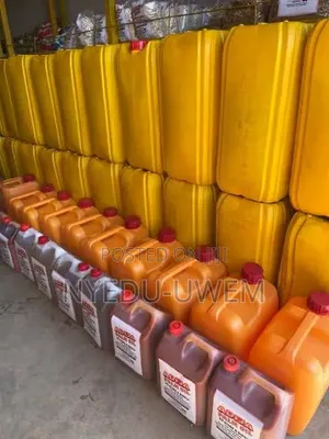 25 Liters of Palm Oil in Bulk