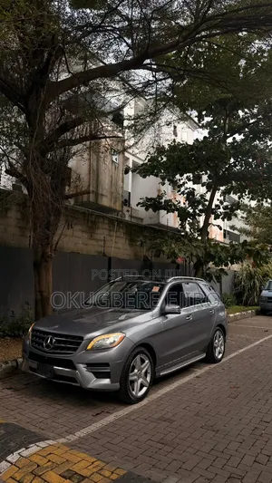 Mercedes-Benz M Class 2014 Gray