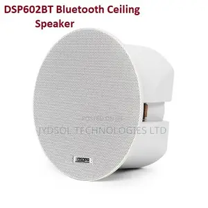 Active Ceiling Bluetooth Speaker 2*10w - Dsp602bt