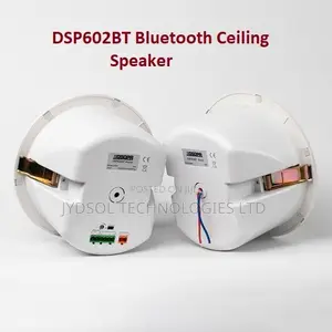 Active Ceiling Bluetooth Speaker 2*10w - Dsp602bt