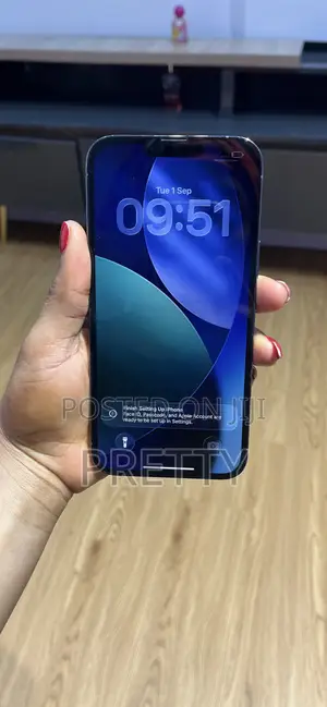 Apple iPhone 13 Pro Max 256 GB Blue