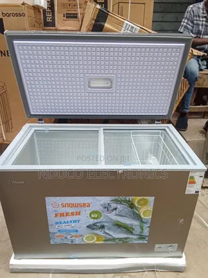 AEON 300Litre Feeezer
