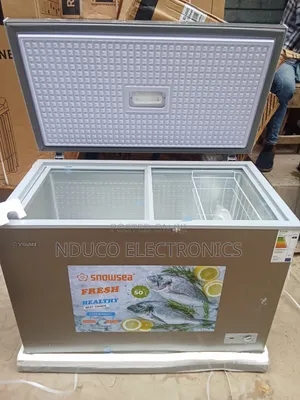 AEON 300Litre Feeezer