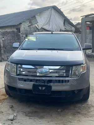 Ford Edge 2008 Gray