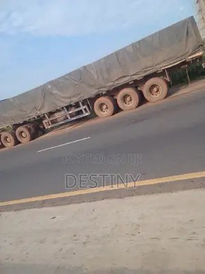 Dangote Cement Distributor