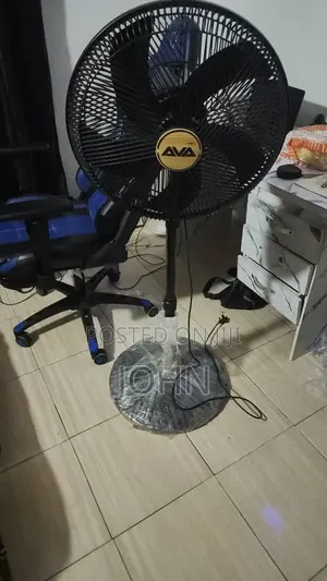 Standing Fan