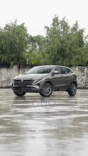Nissan Qashqai 2025 Gray