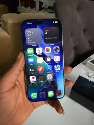 Apple iPhone 15 Pro Max 256 GB Gray