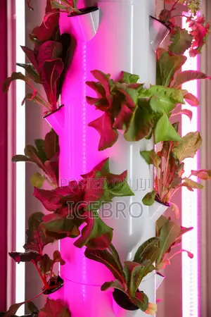 Hydroponic Farm Design & Infrastructure Nigeria