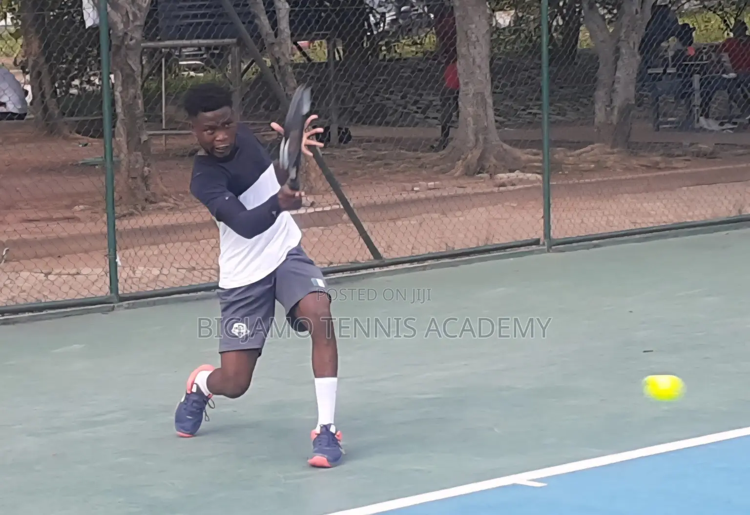 Lawn Tennis Training for Kids & Adults