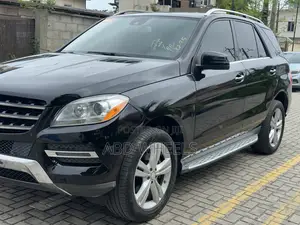 Mercedes-Benz M Class 2015 Black