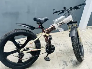 Fat Bycicle
