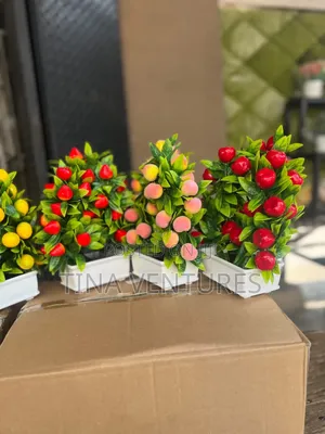 Cup Flowers Available in Bulk Available for Wholesalers