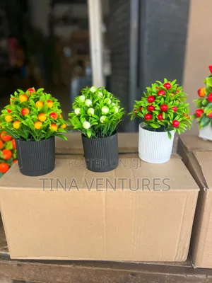 Cup Flowers Available in Bulk Available for Wholesalers