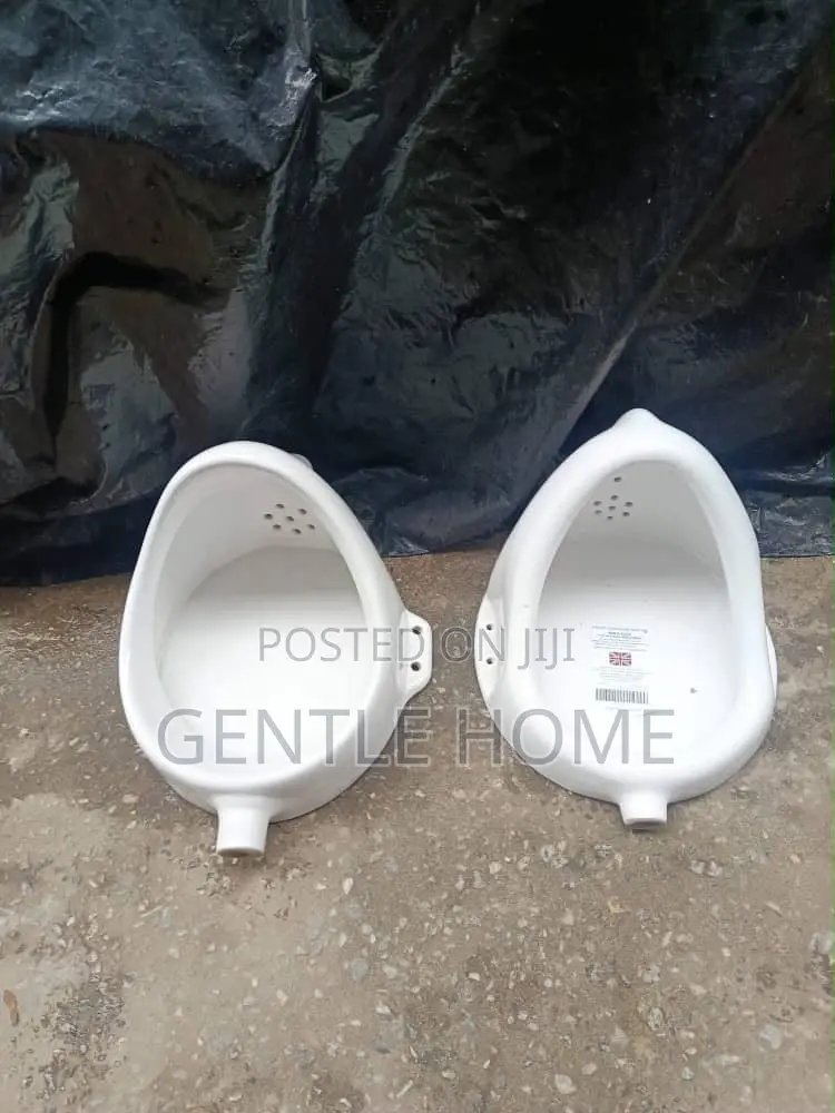 Urinal Bowl