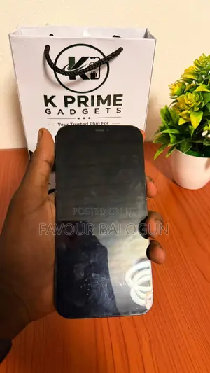 Apple iPhone 12 Pro Max 128 GB Blue