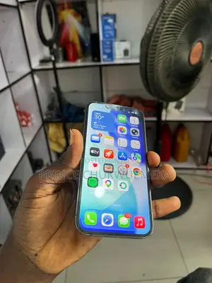 Apple iPhone 13 128 GB Gray