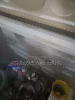 Deep Freezer