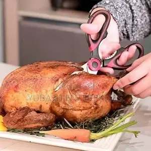 Kitchen Scissors/Shears