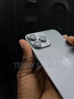Apple iPhone 13 Pro Max 256 GB Black