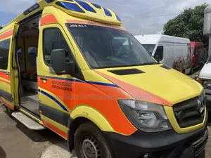Mercedes-Benz Sprinter 2017 Black