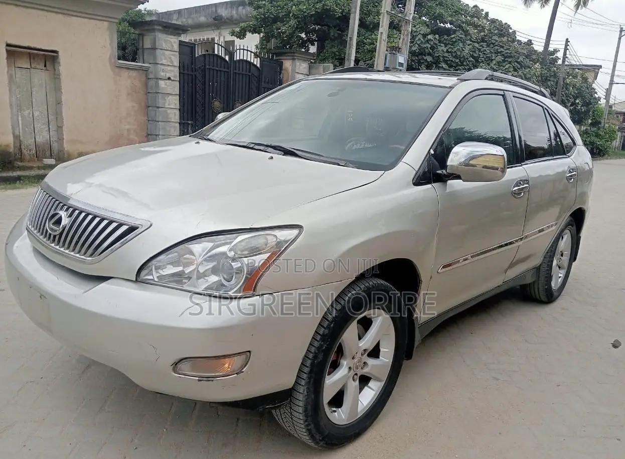 Lexus RX 2008 Gray