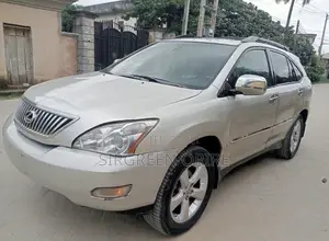 Lexus RX 2008 Gray