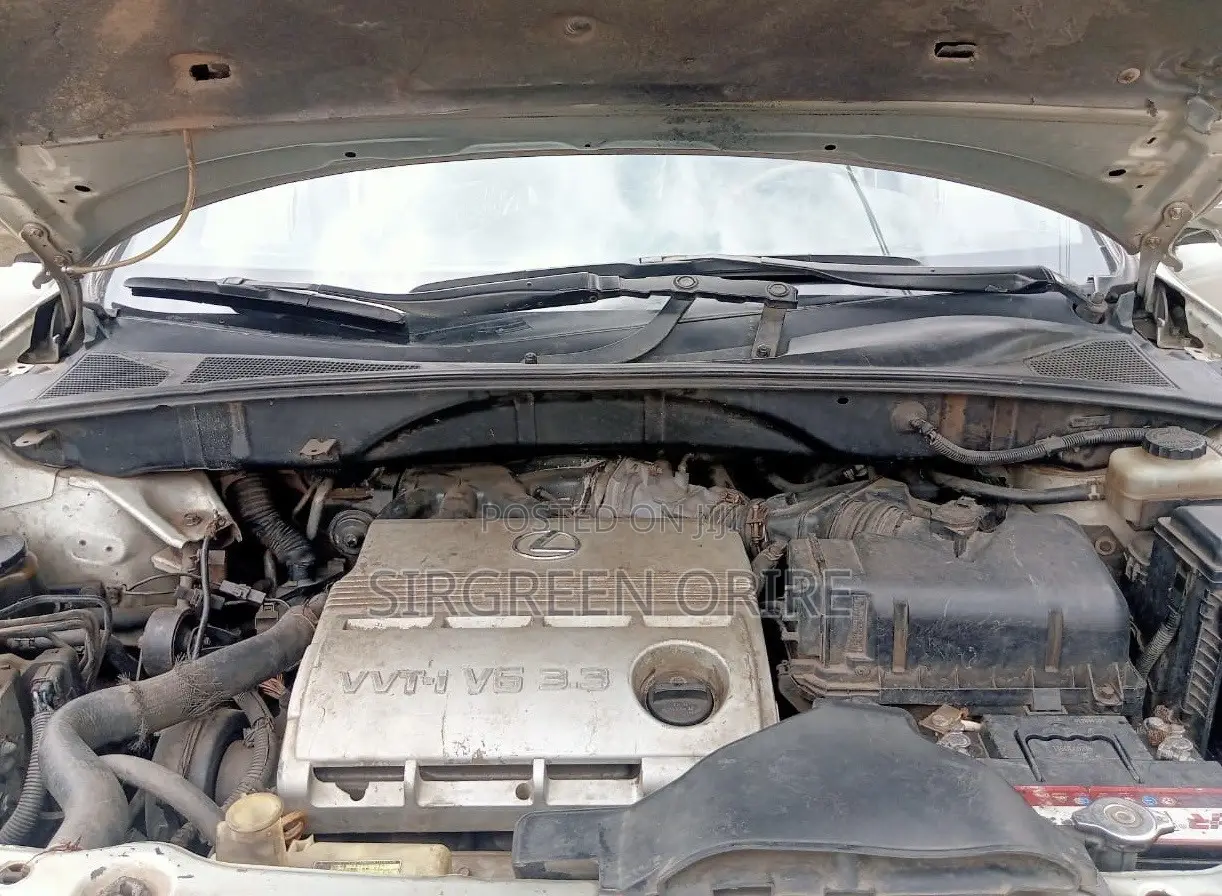 Lexus RX 2008 Gray