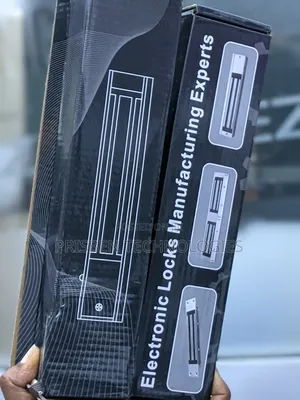 Magnetic Lock and Z Bracket