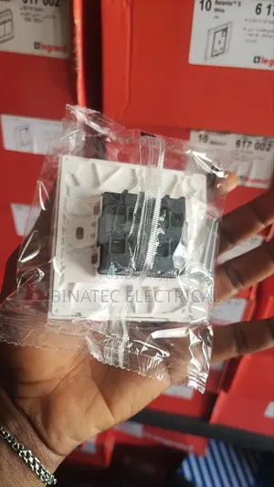 Legrand 2gang Switch