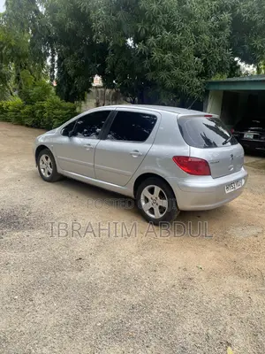 Peugeot 307 2004 Silver