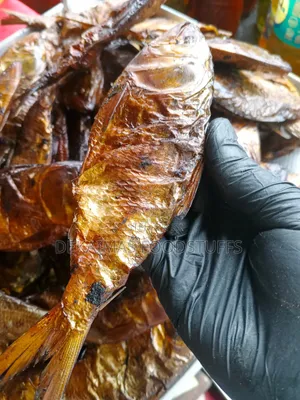 Quality Native Bonga Fish