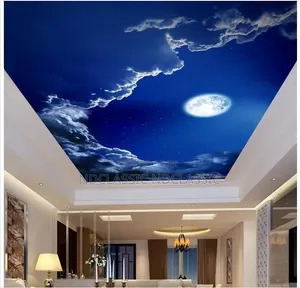 Stretch Ceiling Installation
