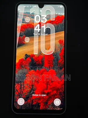 Samsung Galaxy A17 128 GB Gray