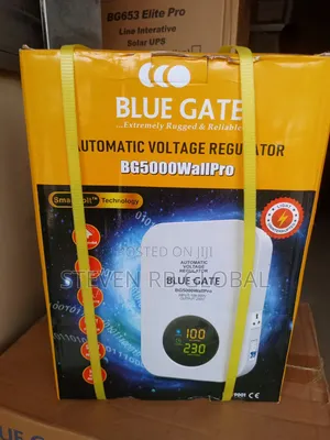 Blue Gate 5000va Automatic Voltage Regulator | Bg5000wallpro