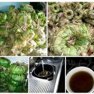 Infection Tea