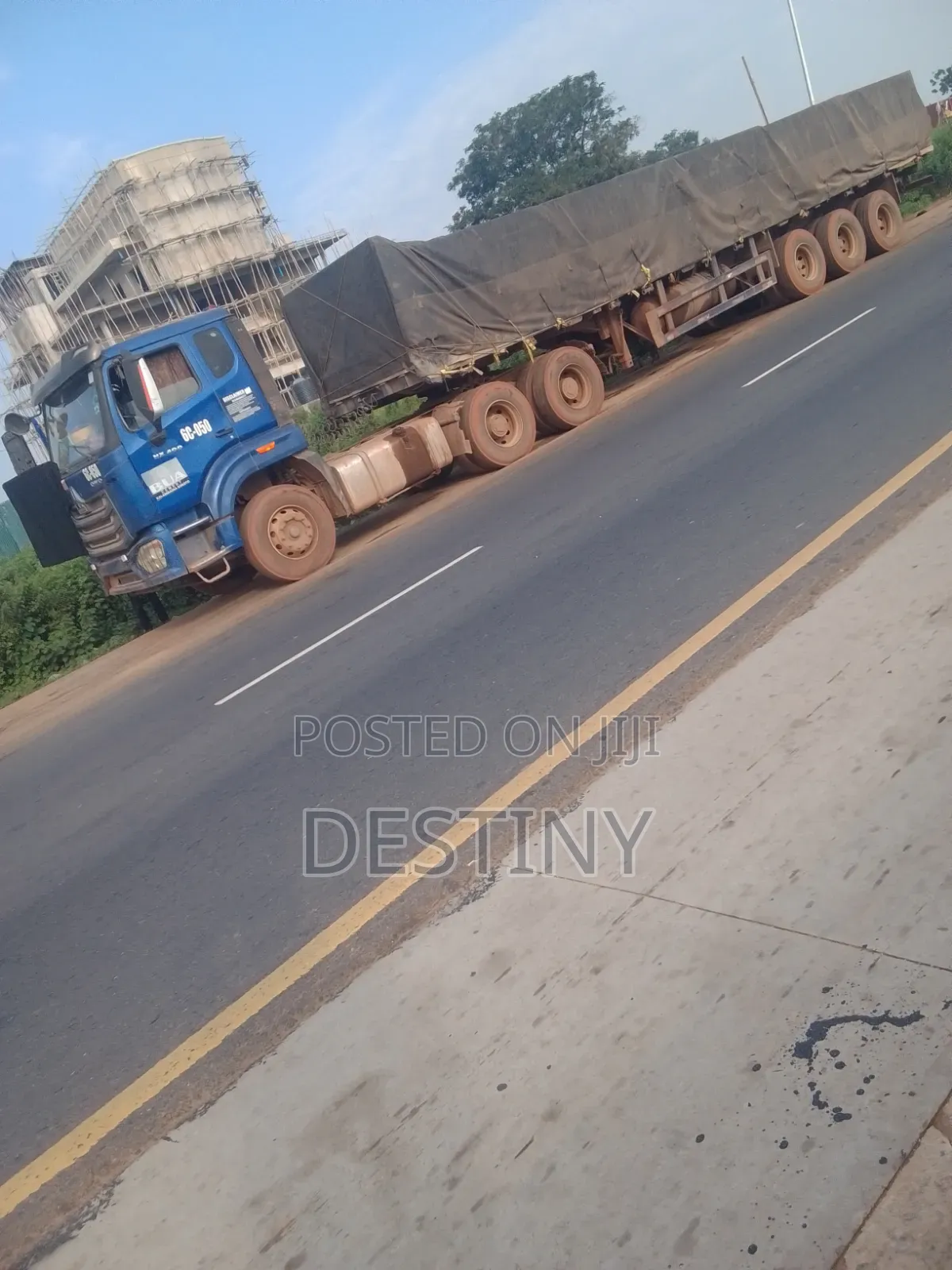 Dangote Cement Distributor