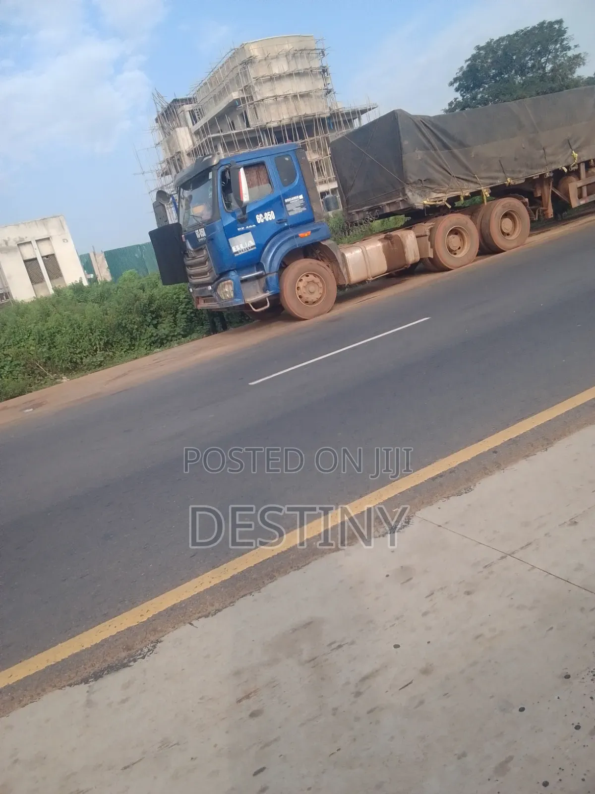 Cement Dealer