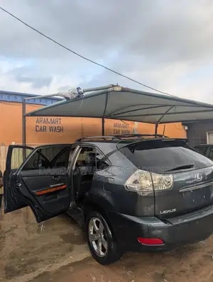 Lexus RX 350 AWD 2008 Gray