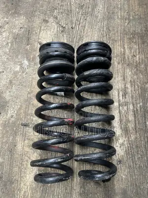 Highest Grade Back Springs Mercedes Benz ML350 GL450 W164