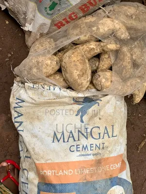 Rice, , Potato, Yam , Red Oil, Crayfish, Stockfish, Dry Fish,